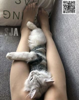 东北少妇国语对白吞精_BD国语免费在线播放